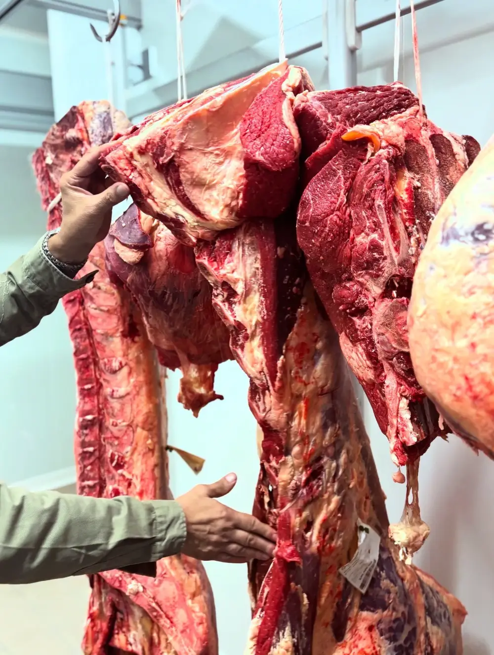 viande de boeuf (10)